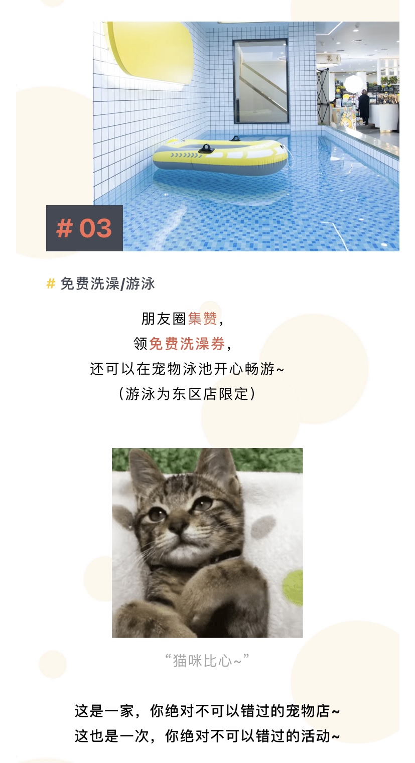 IMG_1900.PNG
